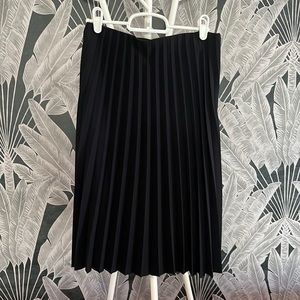 NWOT Everlane Pleated Skirt